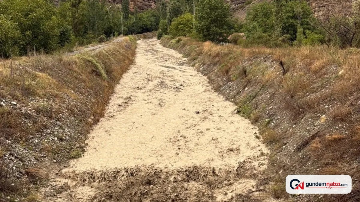 Erzurum Artvin Karayolunda sel nedeniyle bir araç mahsur kaldı