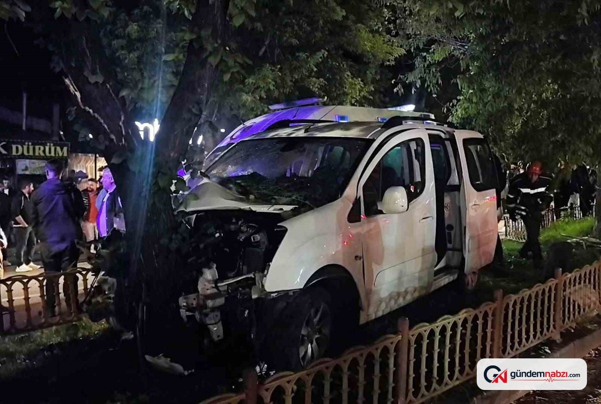 Palandöken'de ağaca çarpan hafif ticari araçta 2 kişi yaralandı