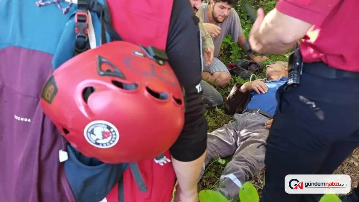 72 yaşındaki kayıp engelli erkek Bolu'da ormanlık alanda bulundu