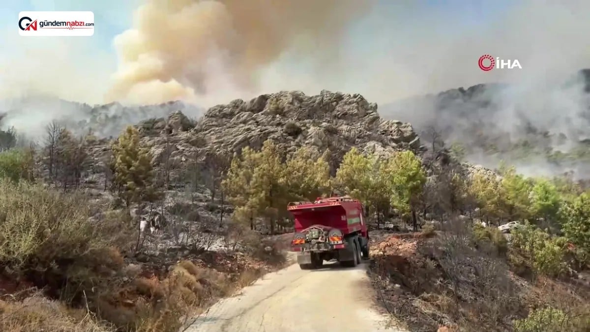 Mersin Bozyazı'daki Orman yangınına müdahale devam ediyor