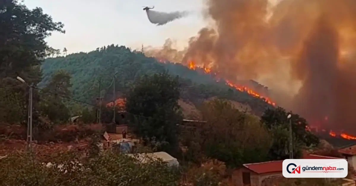 Antalya'nın Serik ilçesinde orman dışı alanda yangın çıktı