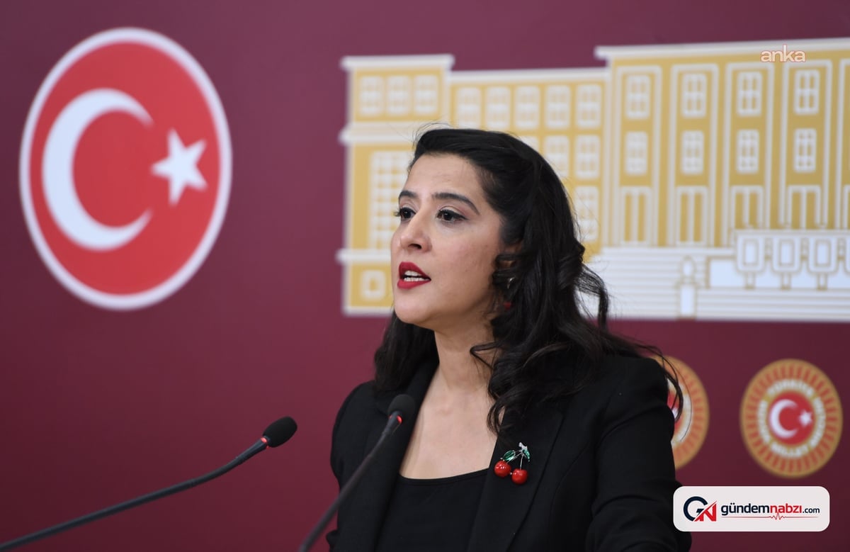 EMEP'li Karaca asgari ücretle geçinemeyen babanın ötanazi başvurusunu TBMM'ye taşıdı