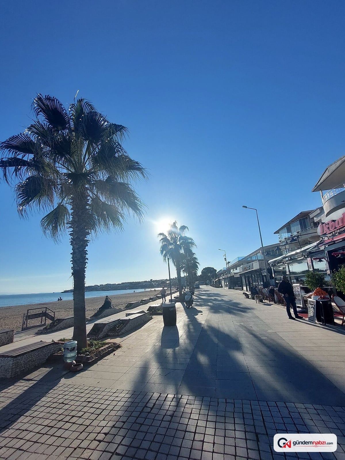 İzmir Çeşme'de Koruma altındaki kum zambakları çöpler arasında kaldı