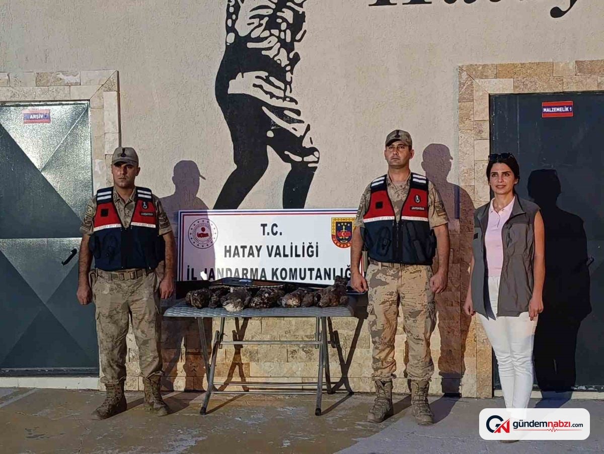 Hatay'da 7 arı şahini avlayan kişiye 1,3 milyon TL tazminat
