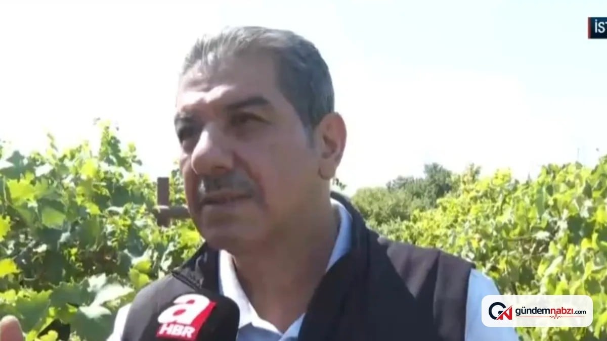 İstanbul'da yüksek binalar arasında organik tarım dönemi