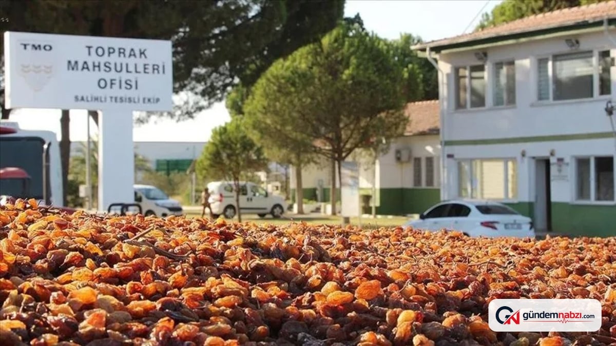 Kuru üzümde 2026 fiyatları belirlendi