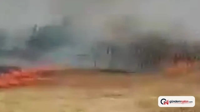 Afyonkarahisar'da 150 dönüm ekili alan yandı