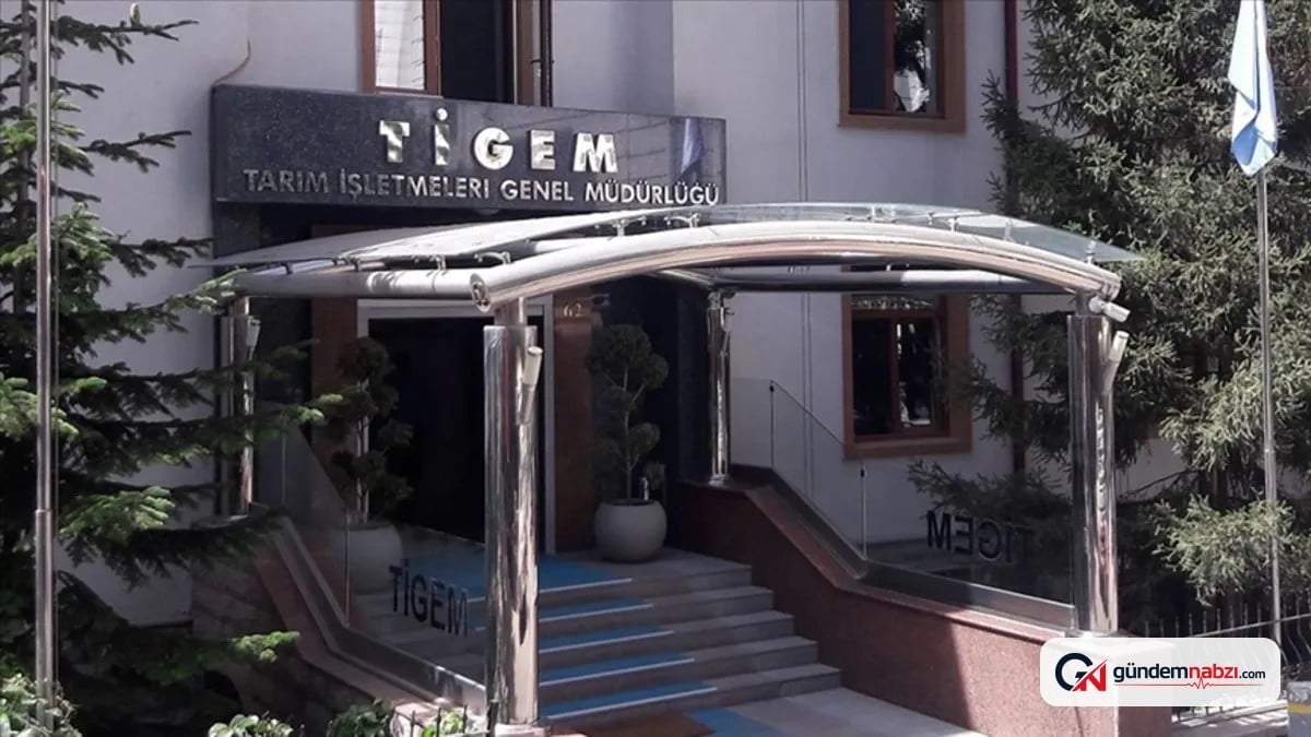 TİGEM 17 safkan Arap koşu tayını satışa çıkaracak