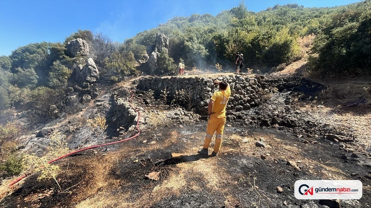 İzmir Kemalpaşa'da makilik alanda çıkan yangın kontrol altına alındı