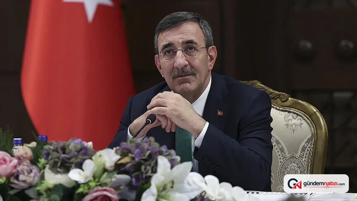 Cumhurbaşkanı Yardımcısı Yılmaz: Döviz korumalı mevduatlar sıfır seviyesine indi