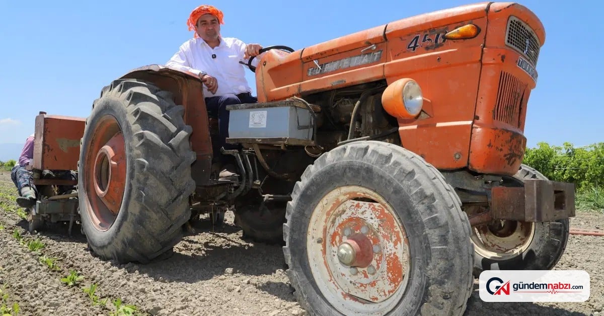 Saruhanlı Belediye Başkanı Ekrem Cıllı, üzüm hasadında elini makineye kaptırdı