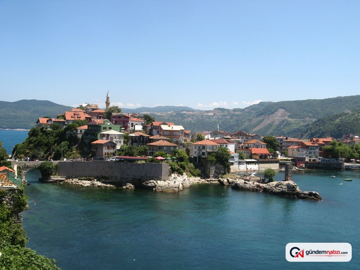 Karadeniz'de palamut bolluğu: Tanesi 80 liraya düştü