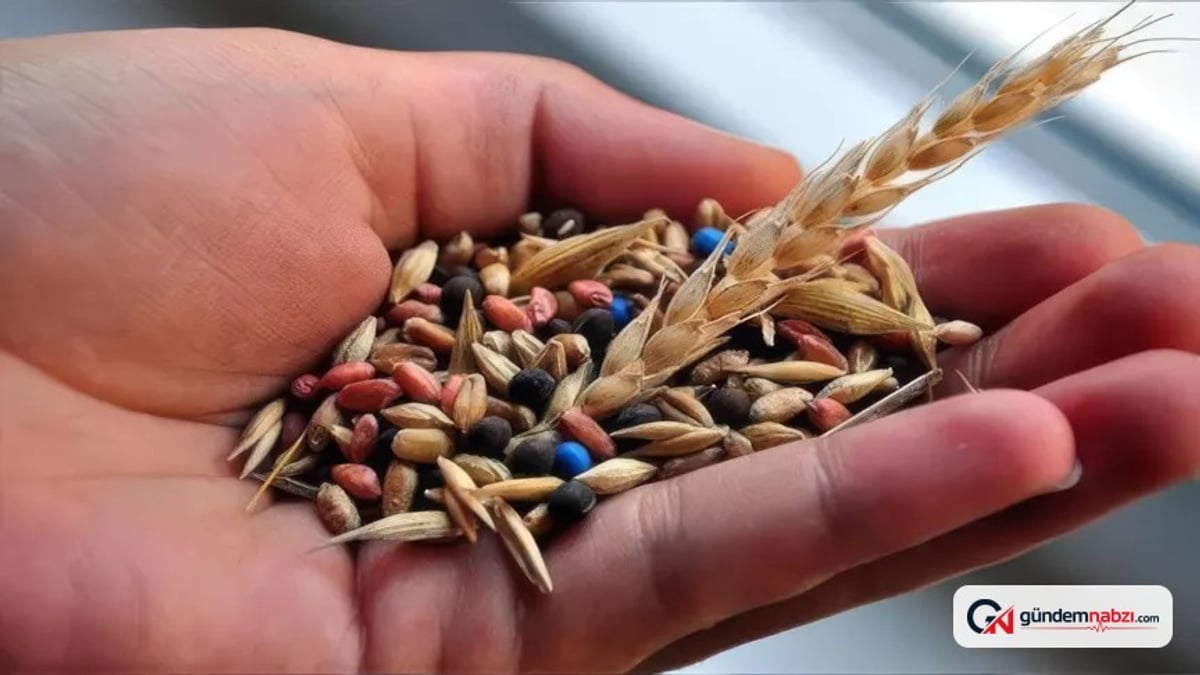 Türkiye, tohumculukta Asya pazarında rekabet gücünü artırmayı hedefliyor
