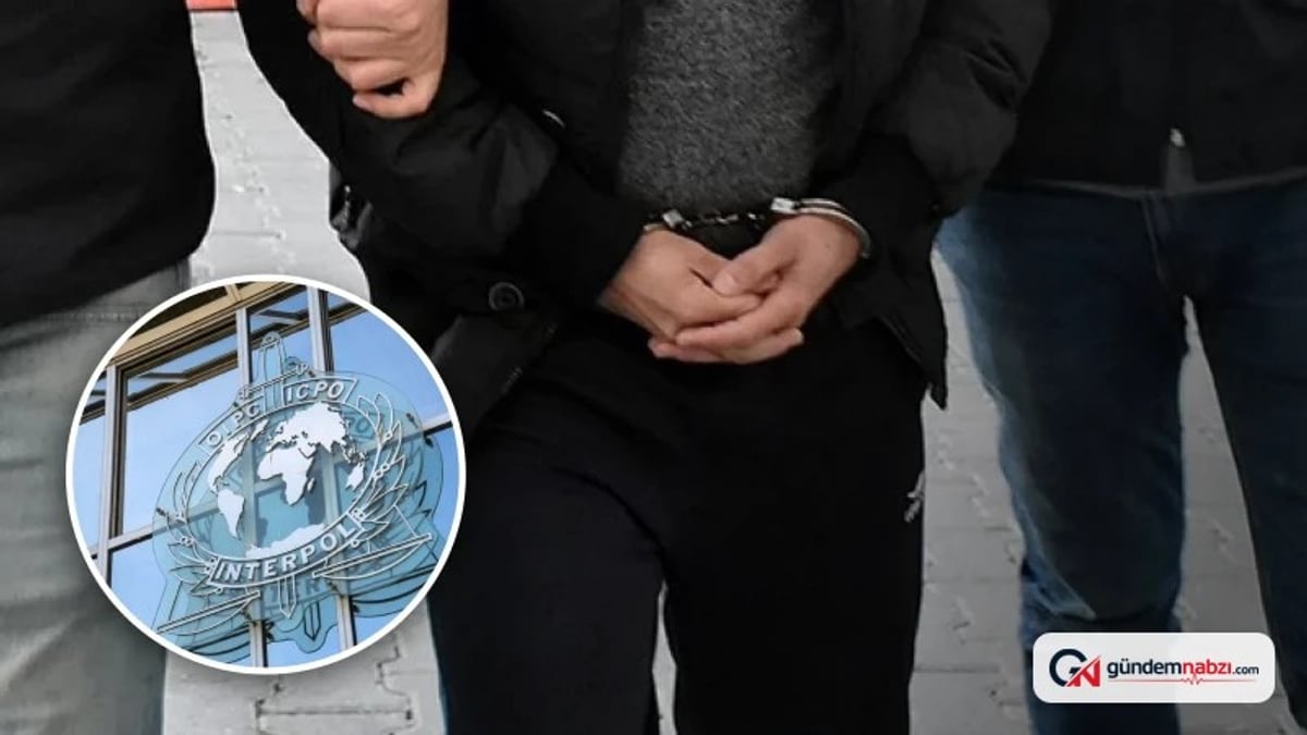 Rus şüpheli Marat D. Antalya'da yakalandı