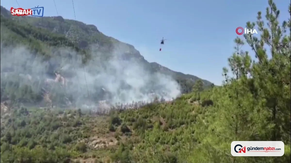 Feke'de orman yangınına havadan müdahale ediliyor