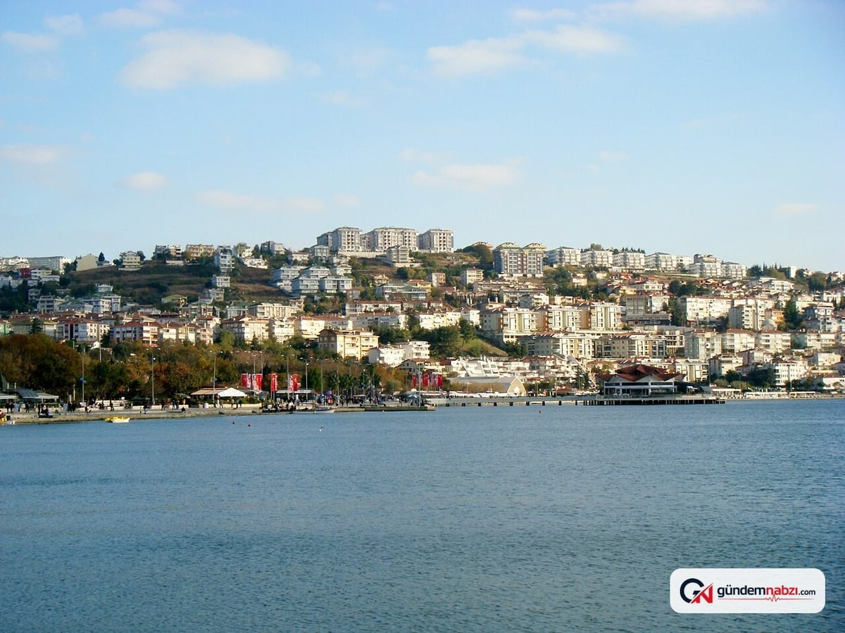 İstanbul'da sahil kenarındaki ağaçlık alanda yangın çıktı