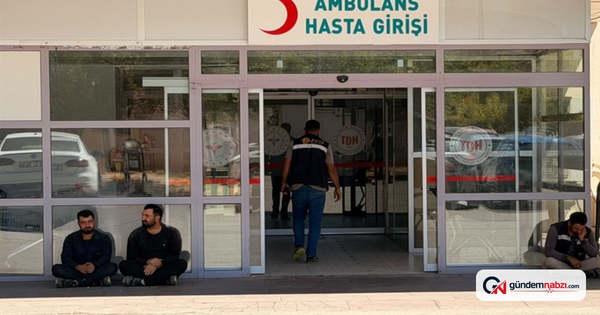 Tunceli'de yüksek gerilim hattından düşen işçi yaralandı