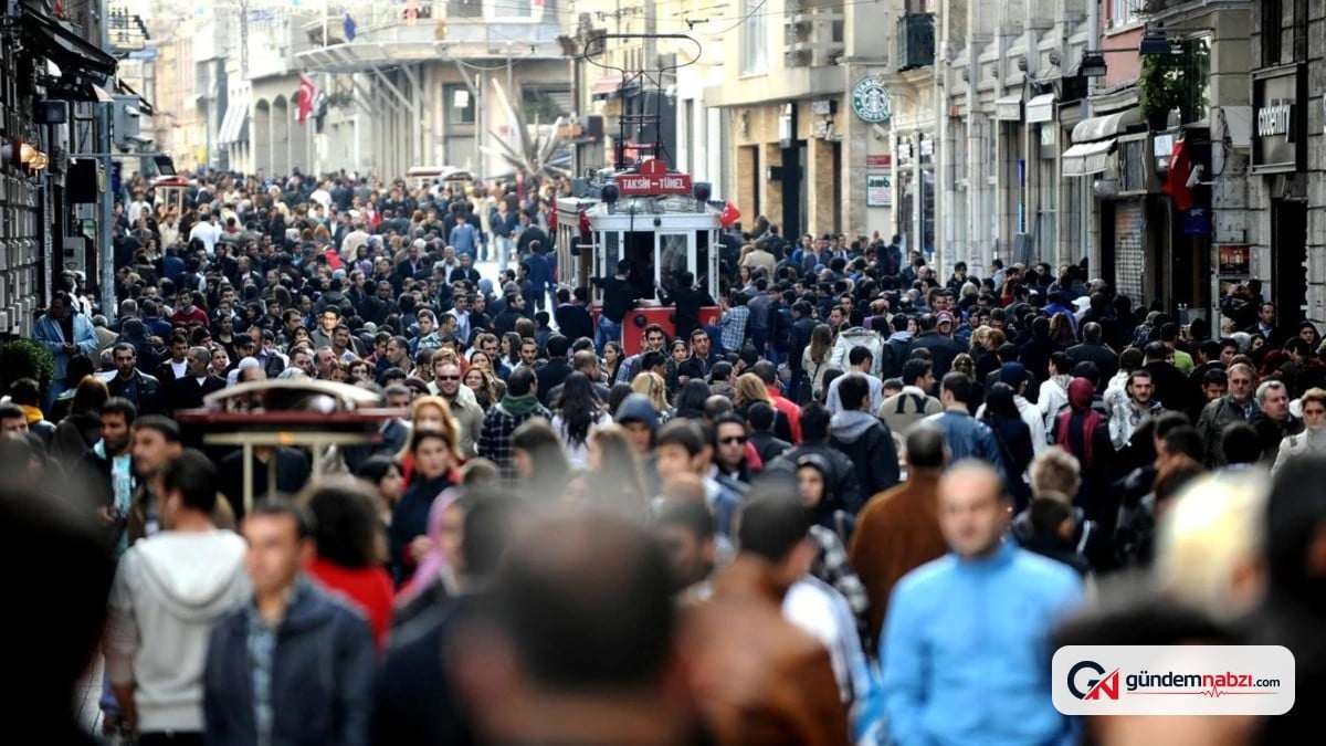 TÜİK simülasyonu paylaşıldı: Herkes memleketine dönse ne olurdu?