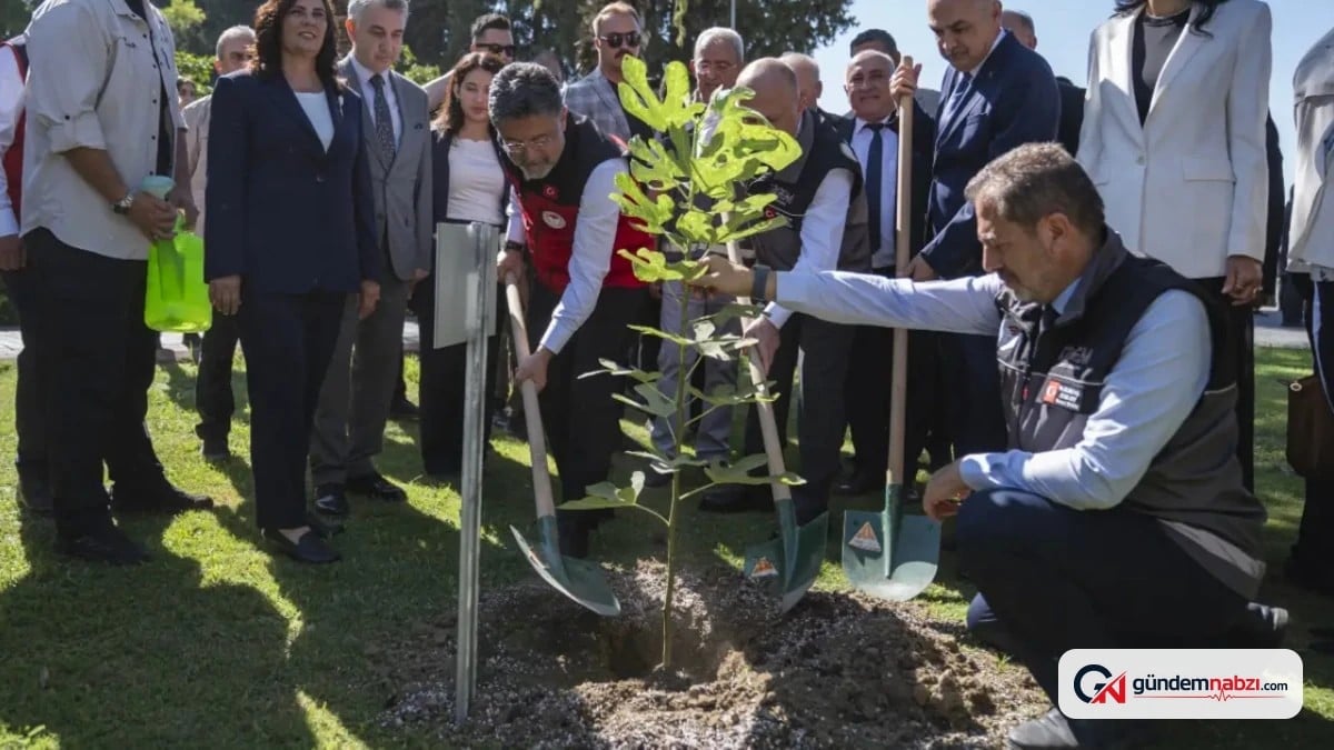 Bakan Yumaklı fidanı saksısıyla dikti iddiası yalanlandı