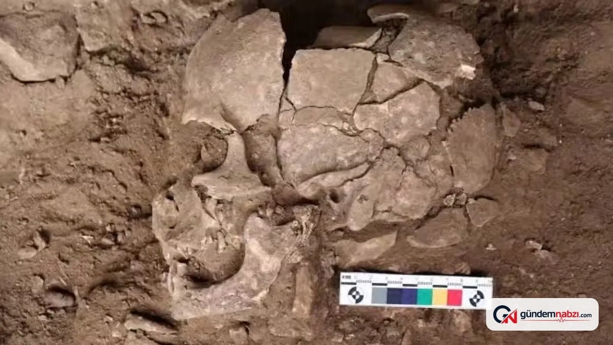 Endonezya'da 25 bin yıllık areka cevizi izine rastlandı