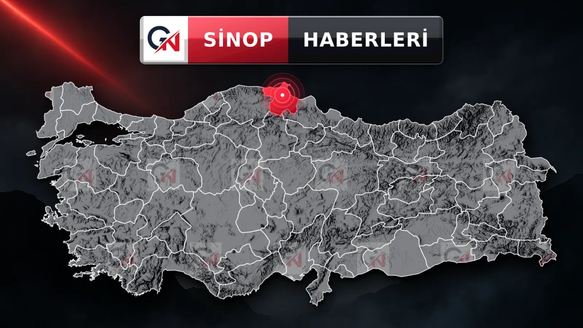 Sinop'ta 7 hektar alanı yakan örtü yangınına 1 gözaltı