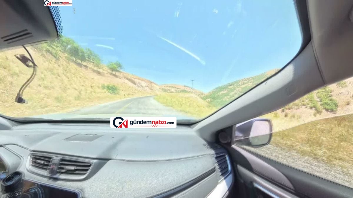 Malatya'nın kelebek çeşitliliği doğa fotoğrafçılarının lensine yansıdı