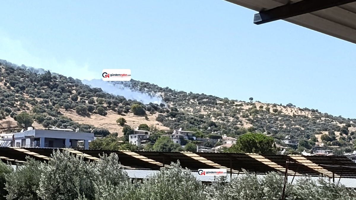 Aydın'da zirai alanda yangın çıktı