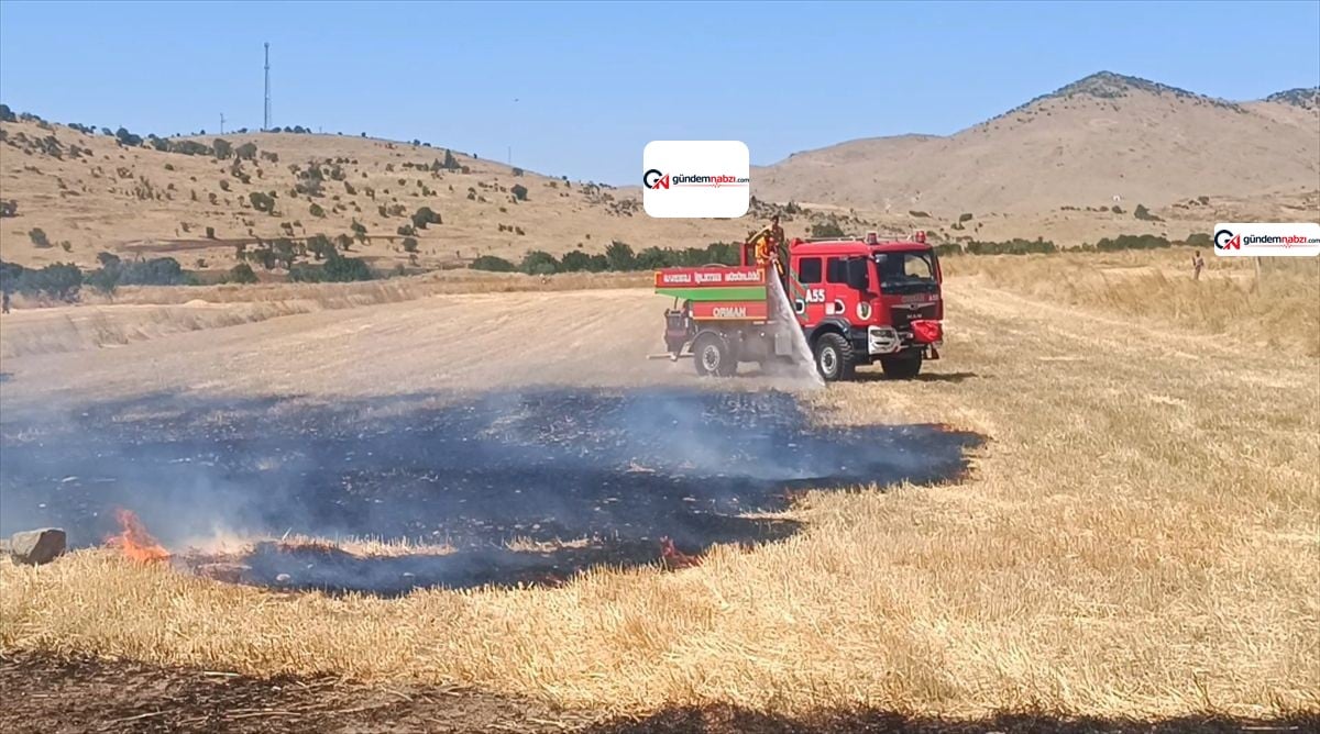 Afyonkarahisar'da anız yangını söndürüldü