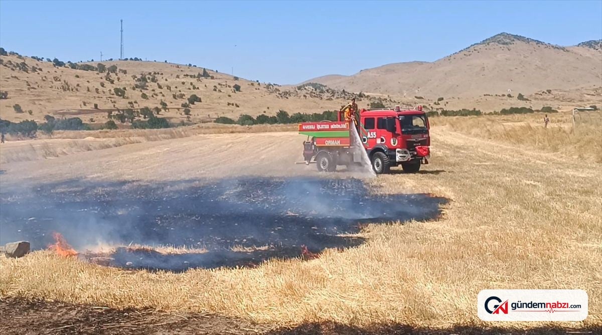 Afyonkarahisar'da anız yangını söndürüldü