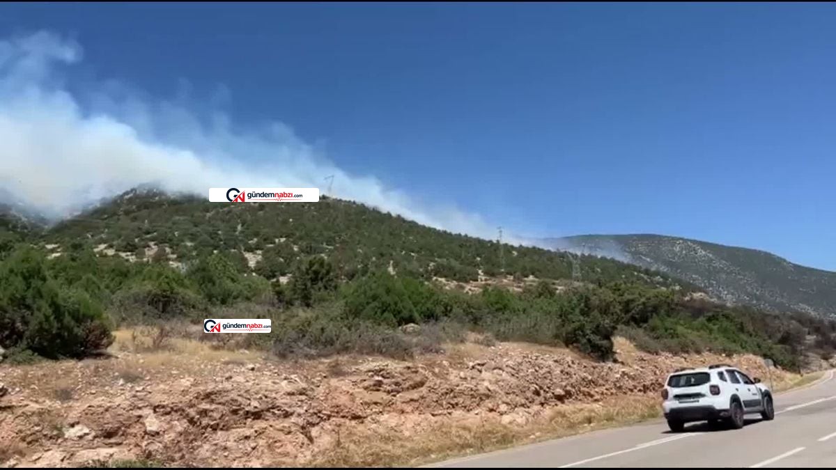 Isparta Eğirdir'de orman yangını söndürüldü
