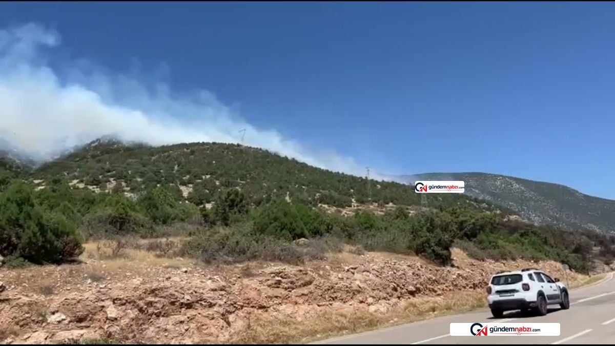 Isparta Eğirdir'de orman yangını söndürüldü