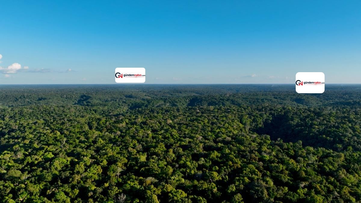 Amazon'da 3 milyon nüfuslu kayıp uygarlık keşfedildi