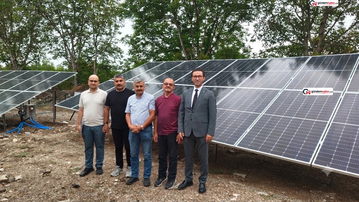 Tokat Niksar'da ceviz üretiminde yeşil dönüşüm dönemi