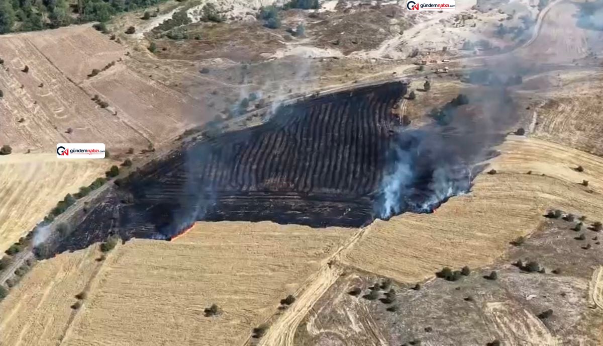 Karabük'te arazide çıkan yangın söndürüldü