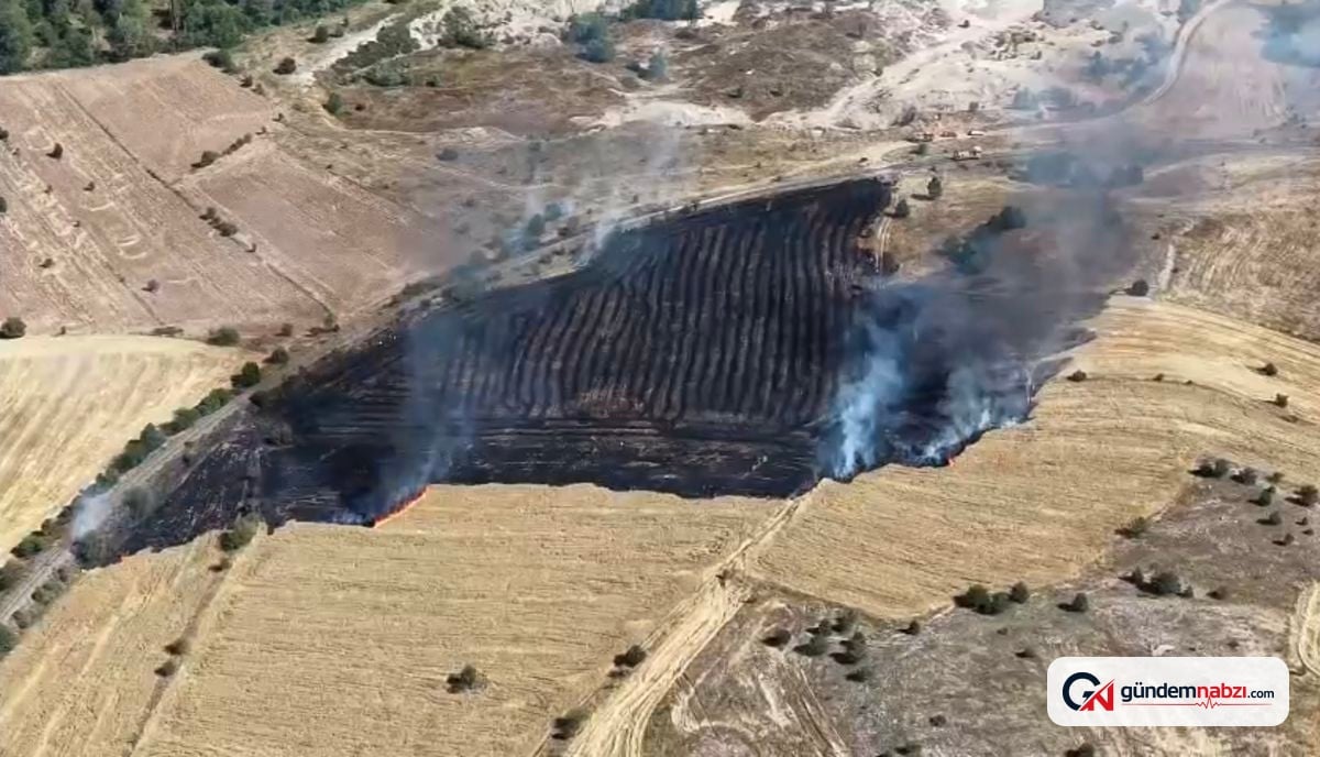 Karabük'te arazide çıkan yangın söndürüldü