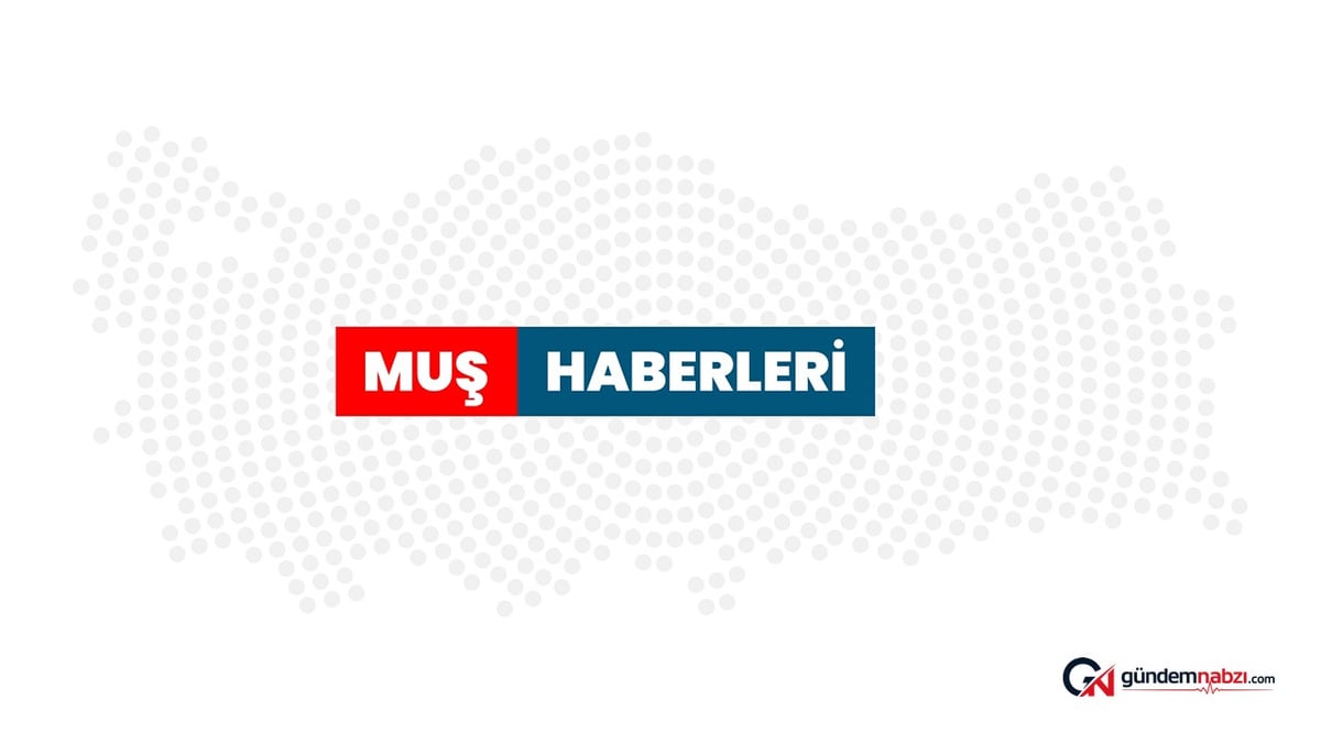 Muş'ta ruhsatsız silah operasyonu: 6 şüpheli gözaltına alındı