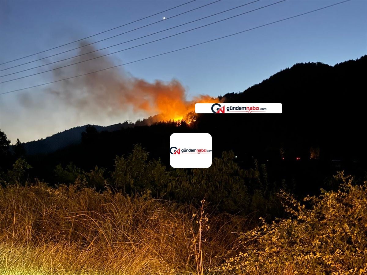 Antalya Akseki'de Orman yangını kontrol altına alındı