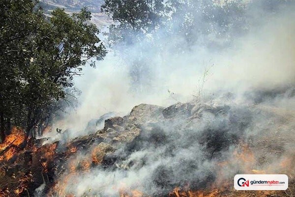 Kermanshah'da orman yangını söndürüldü