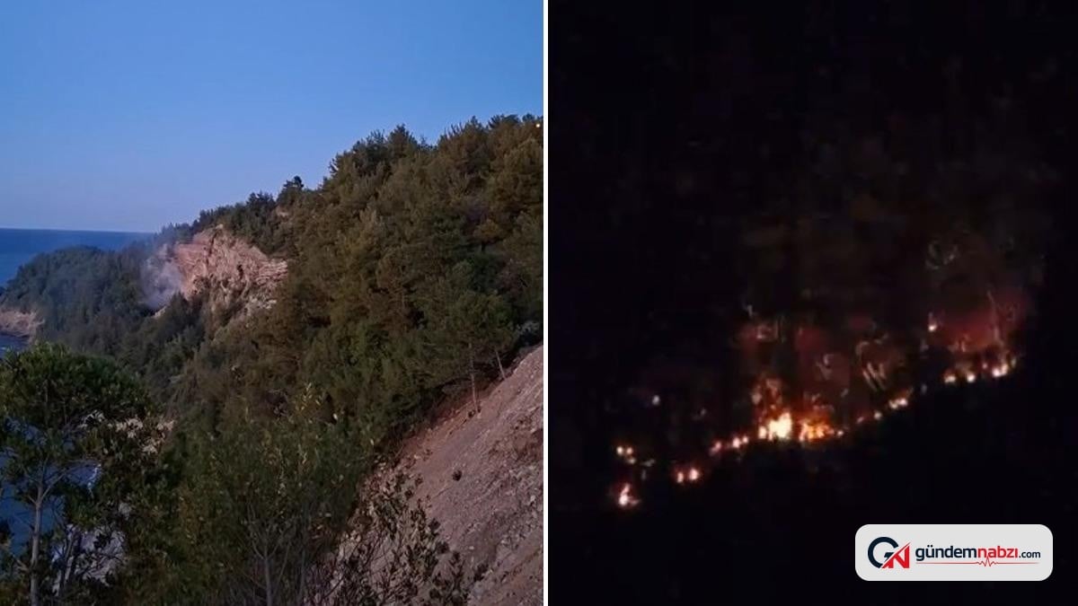 Kastamonu'da ormanlık alana düşen yabancı cisim yangın çıkardı