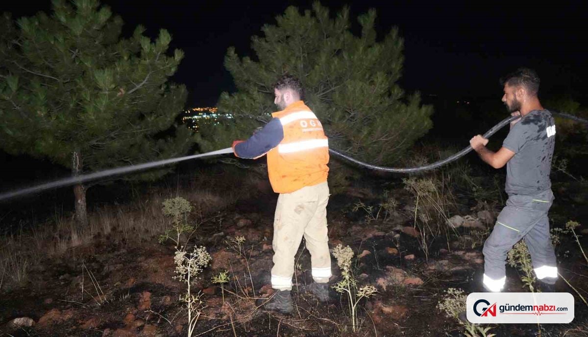 Kırıkkale'de yüksek gerilim hattına çarpan kuşlar yangına yol açtı