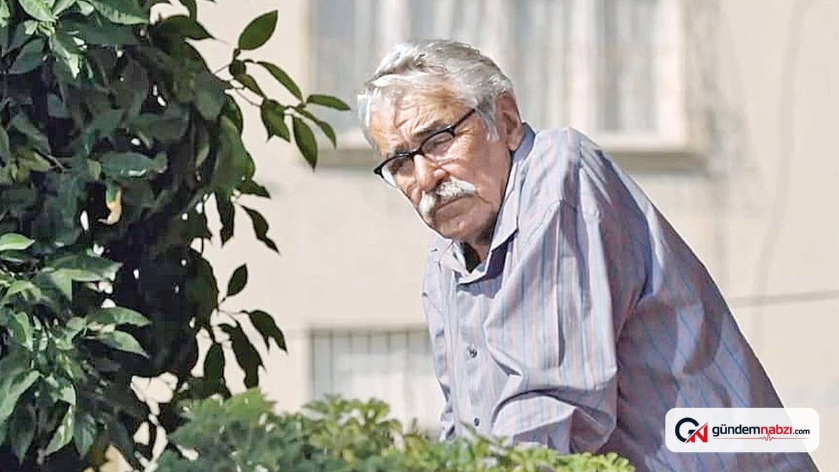 Türkiye'nin Oscar adayı 'Kesilmiş Bir Ağaç gibi' filmi oldu