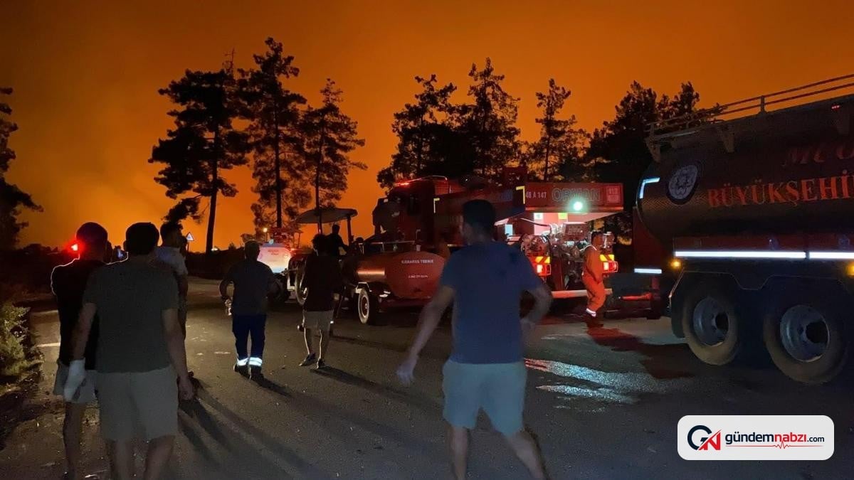 Türkiye genelinde orman yangınlarıyla mücadele sürüyor