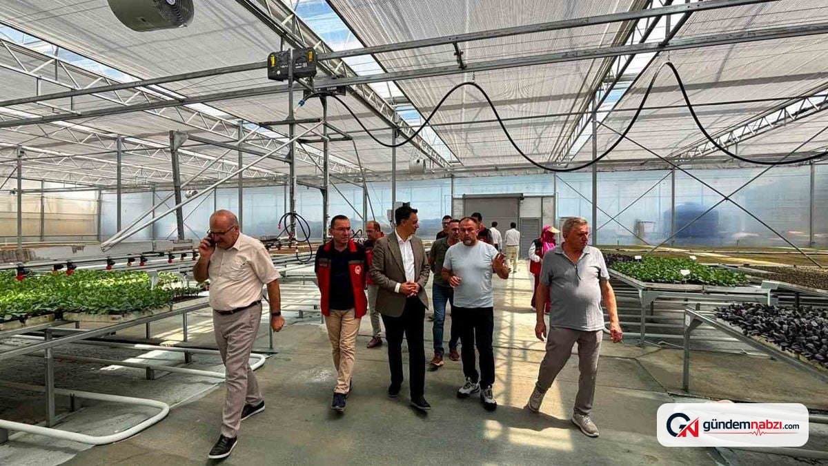 Bartın ve Zonguldak'tan tarımda ortak iş birliği adımı