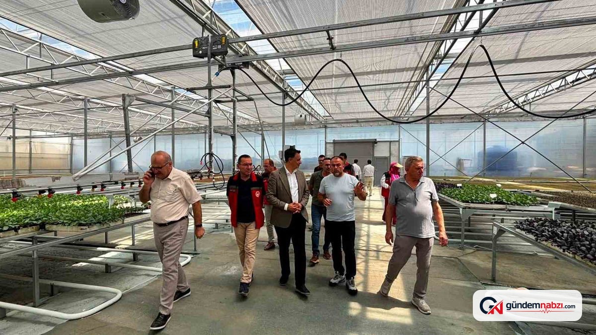 Bartın ve Zonguldak'tan tarımda ortak iş birliği adımı
