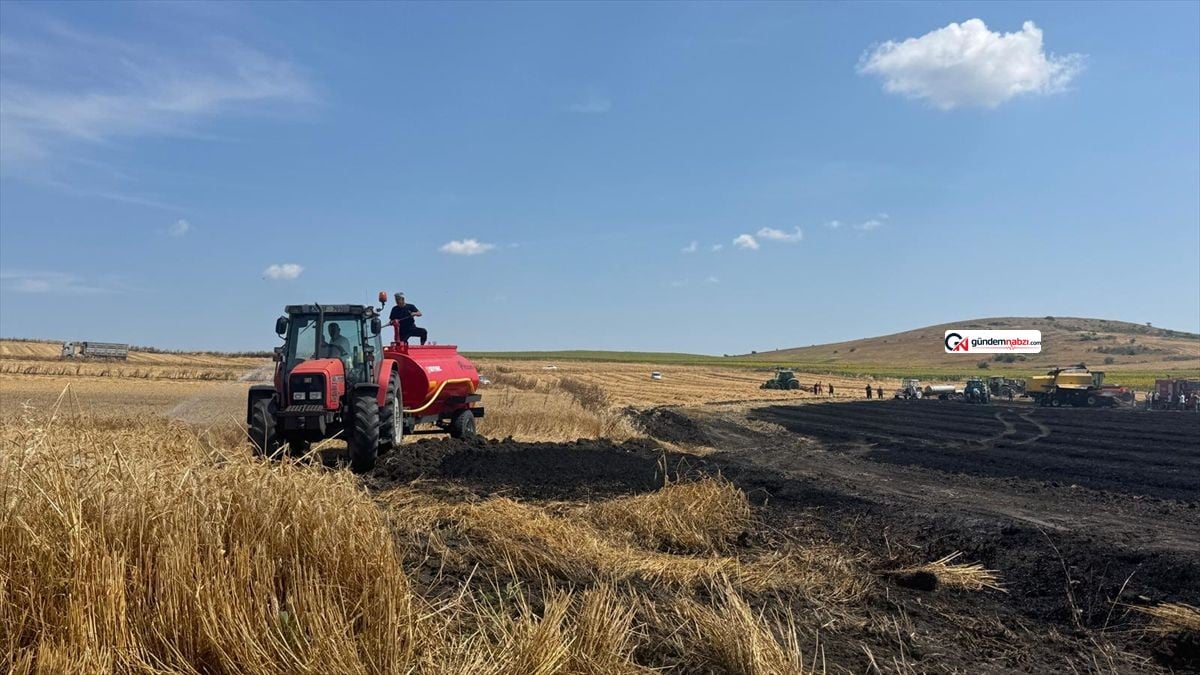Edirne'de sıcak hava riski nedeniyle balya mesaisine saat ayarı