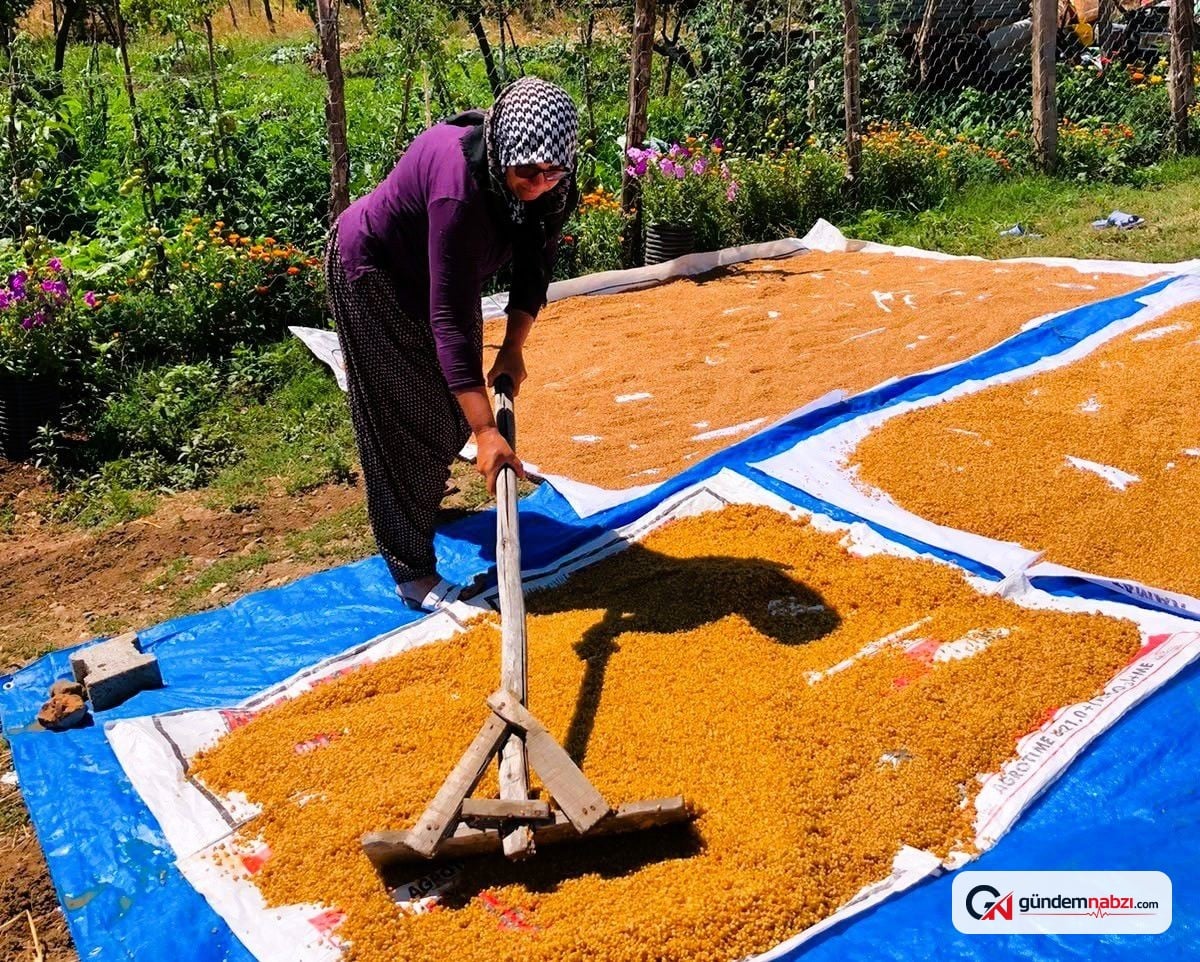 Kahramanmaraş'ta kışlık bulgur mesaisi başladı