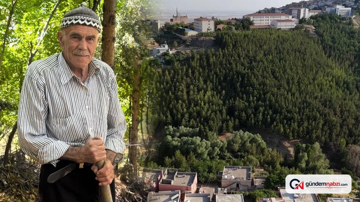 Mardinli 78 yaşındaki Şehmus Erginoğlu Tek başına orman kurdu