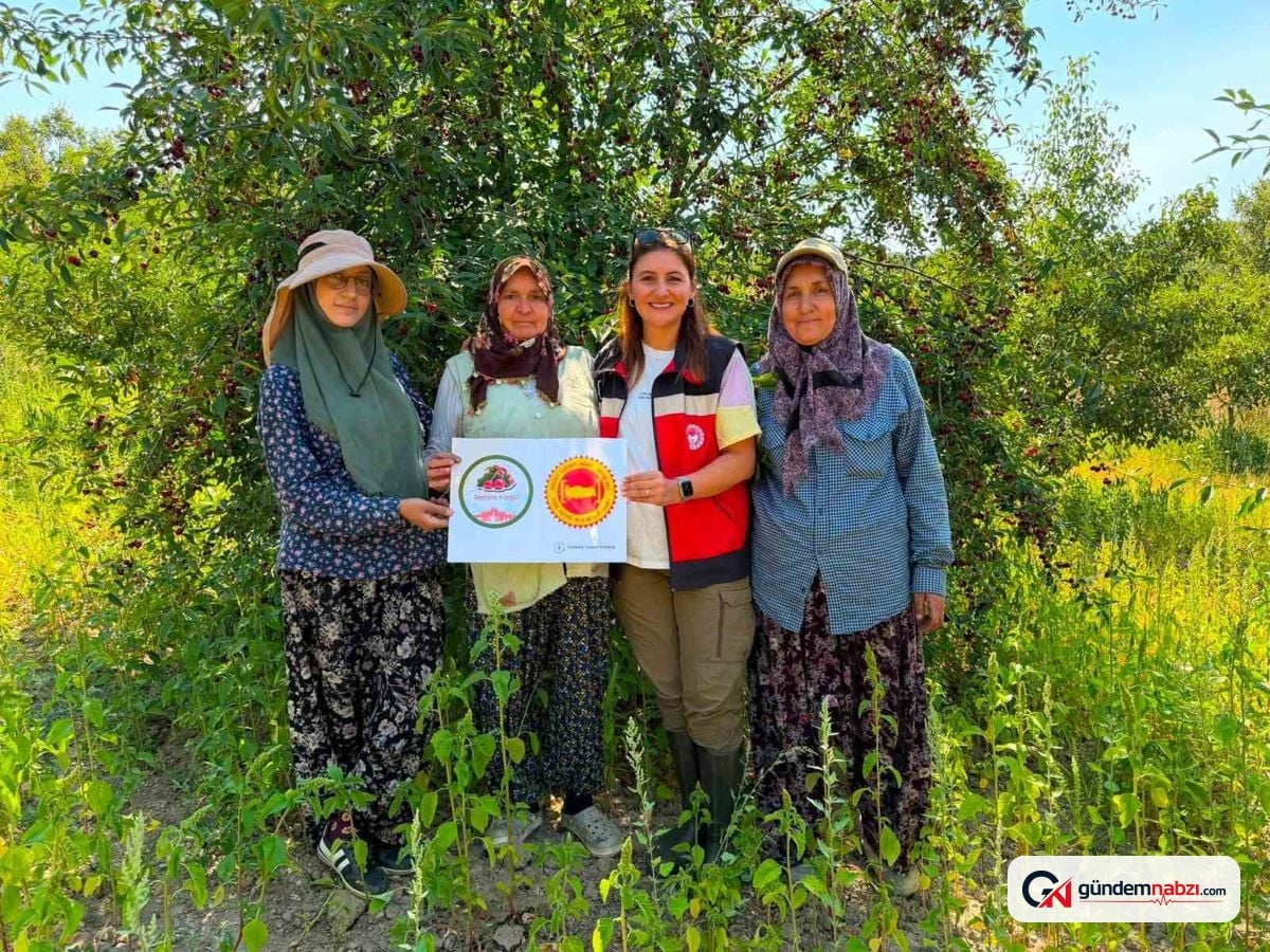 Kütahya'da Şaphane Vişnesi için coğrafi işaret mesaisi