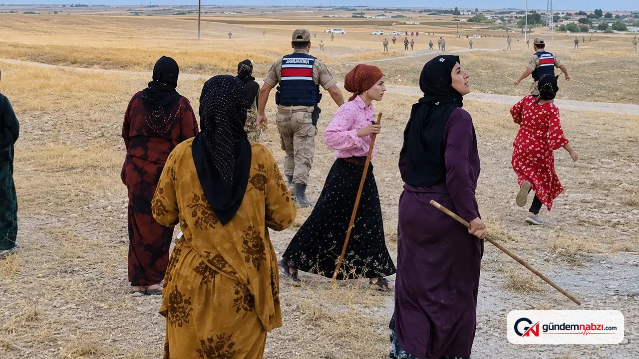 Şanlıurfa'da tarlada iki aile kavga etti: 8 yaralı, 6 gözaltı
