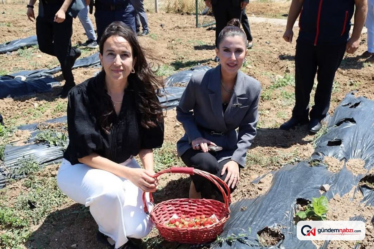 Kaymakam Kazanasmaz'dan Karaahmetli köyündeki tarım alanlarına ziyaret